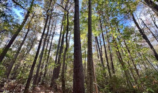 Photo #19 of SOLD property in Off Rail Road St, Chocowinity, NC 3.4 acres