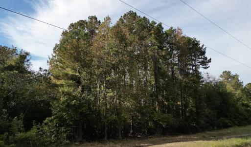 Photo #21 of SOLD property in Off Rail Road St, Chocowinity, NC 3.4 acres