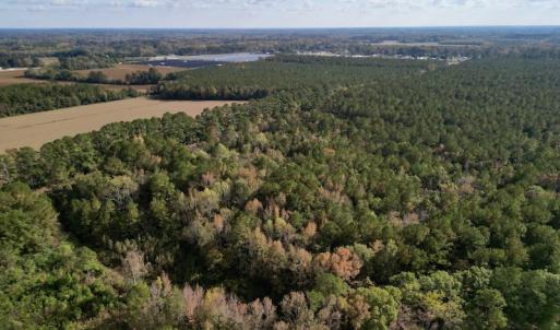 Photo #6 of SOLD property in Off Rail Road St, Chocowinity, NC 3.4 acres