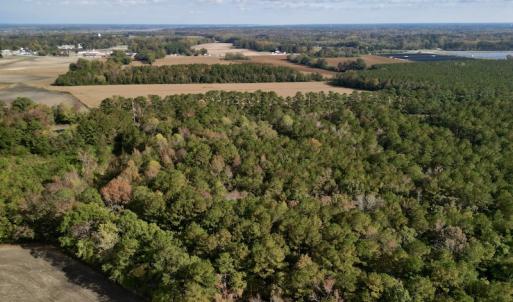 Photo #7 of SOLD property in Off Rail Road St, Chocowinity, NC 3.4 acres