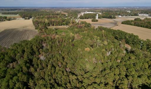 Photo #9 of SOLD property in Off Rail Road St, Chocowinity, NC 3.4 acres