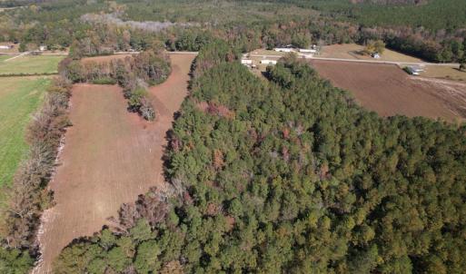 Photo #10 of SOLD property in Off Harrells Hwy, Garland, NC 15.8 acres