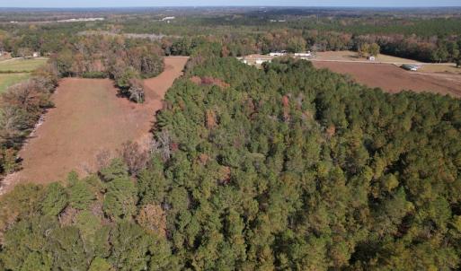 Photo #11 of SOLD property in Off Harrells Hwy, Garland, NC 15.8 acres
