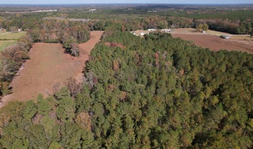 Photo #11 of SOLD property in Off Harrells Hwy, Garland, NC 15.8 acres