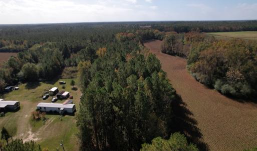 Photo #15 of SOLD property in Off Harrells Hwy, Garland, NC 15.8 acres