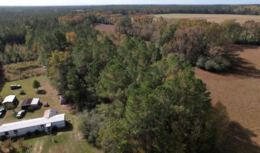 Photo #16 of SOLD property in Off Harrells Hwy, Garland, NC 15.8 acres