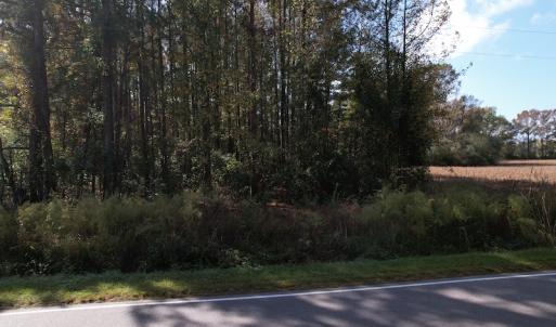 Photo #17 of SOLD property in Off Harrells Hwy, Garland, NC 15.8 acres