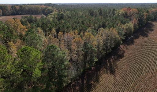 Photo #2 of SOLD property in Off Harrells Hwy, Garland, NC 15.8 acres