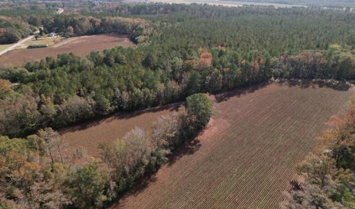 Photo #3 of SOLD property in Off Harrells Hwy, Garland, NC 15.8 acres