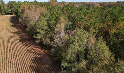 Photo #4 of SOLD property in Off Harrells Hwy, Garland, NC 15.8 acres
