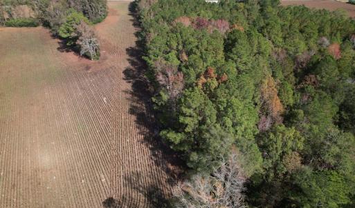 Photo #5 of SOLD property in Off Harrells Hwy, Garland, NC 15.8 acres