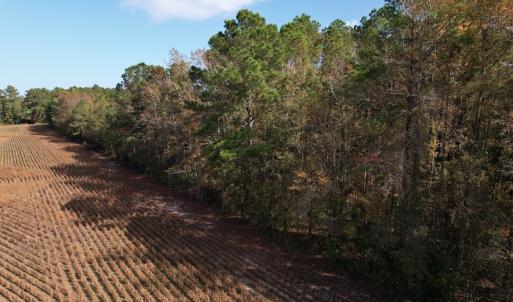 Photo #6 of SOLD property in Off Harrells Hwy, Garland, NC 15.8 acres