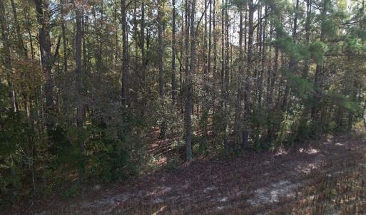 Photo #8 of SOLD property in Off Harrells Hwy, Garland, NC 15.8 acres