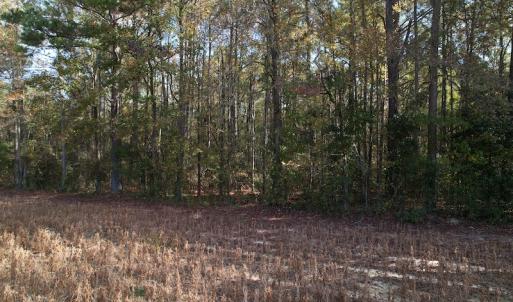 Photo #9 of SOLD property in Off Harrells Hwy, Garland, NC 15.8 acres