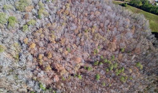 Photo #9 of SOLD property in Off Julie McKnight Road, Kittrell, NC 166.0 acres