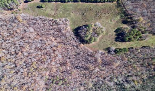 Photo #10 of SOLD property in Off Julie McKnight Road, Kittrell, NC 166.0 acres