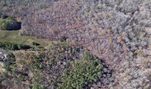 Photo #11 of Off Julie McKnight Road, Kittrell, NC 166.0 acres