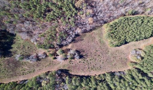 Photo #22 of SOLD property in Off Julie McKnight Road, Kittrell, NC 166.0 acres