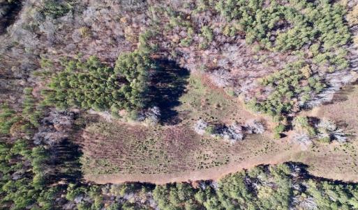 Photo #23 of SOLD property in Off Julie McKnight Road, Kittrell, NC 166.0 acres