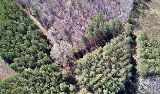 Photo #24 of SOLD property in Off Julie McKnight Road, Kittrell, NC 166.0 acres