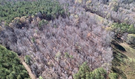 Photo #25 of SOLD property in Off Julie McKnight Road, Kittrell, NC 166.0 acres