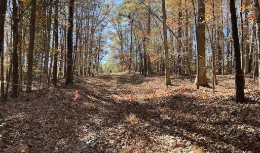Photo #26 of SOLD property in Off Julie McKnight Road, Kittrell, NC 166.0 acres
