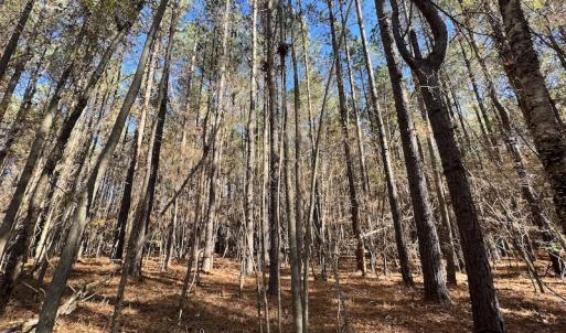 Photo #27 of SOLD property in Off Julie McKnight Road, Kittrell, NC 166.0 acres