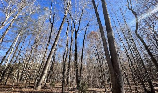 Photo #28 of SOLD property in Off Julie McKnight Road, Kittrell, NC 166.0 acres