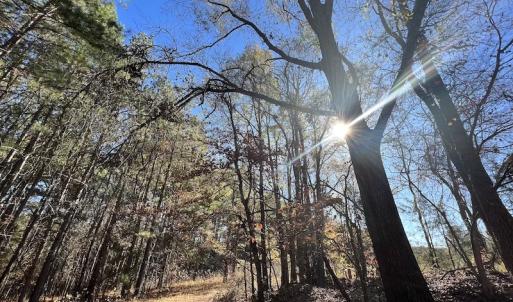 Photo #30 of SOLD property in Off Julie McKnight Road, Kittrell, NC 166.0 acres
