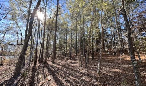 Photo #31 of SOLD property in Off Julie McKnight Road, Kittrell, NC 166.0 acres