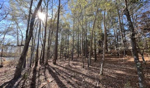 Photo #31 of Off Julie McKnight Road, Kittrell, NC 166.0 acres