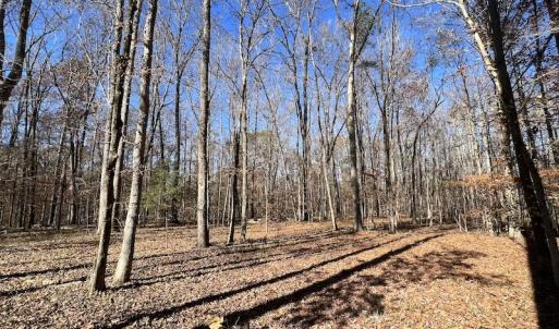 Photo #35 of SOLD property in Off Julie McKnight Road, Kittrell, NC 166.0 acres
