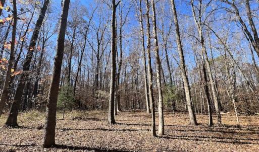 Photo #36 of Off Julie McKnight Road, Kittrell, NC 166.0 acres