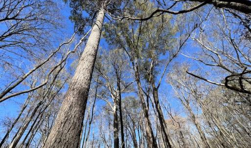 Photo #37 of SOLD property in Off Julie McKnight Road, Kittrell, NC 166.0 acres
