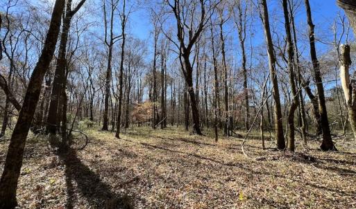 Photo #38 of SOLD property in Off Julie McKnight Road, Kittrell, NC 166.0 acres