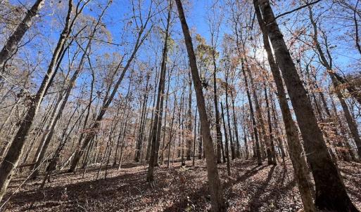 Photo #41 of SOLD property in Off Julie McKnight Road, Kittrell, NC 166.0 acres