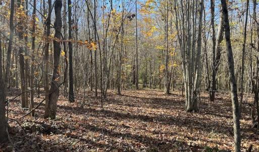 Photo #42 of SOLD property in Off Julie McKnight Road, Kittrell, NC 166.0 acres