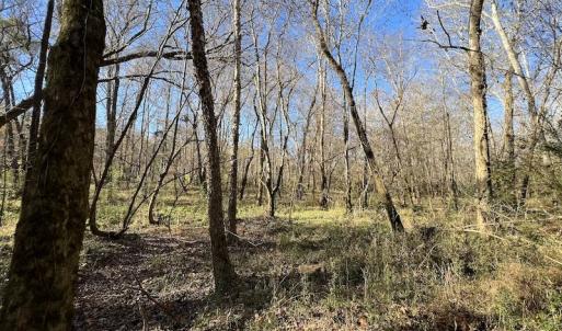Photo #43 of Off Julie McKnight Road, Kittrell, NC 166.0 acres