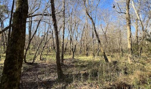 Photo #43 of SOLD property in Off Julie McKnight Road, Kittrell, NC 166.0 acres