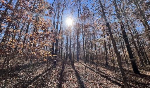 Photo #45 of Off Julie McKnight Road, Kittrell, NC 166.0 acres