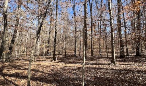 Photo #46 of Off Julie McKnight Road, Kittrell, NC 166.0 acres