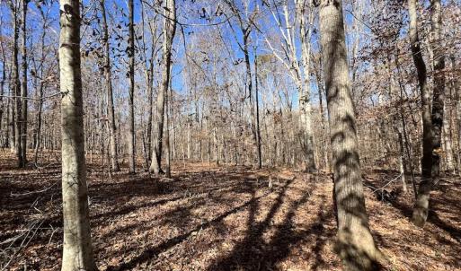 Photo #47 of SOLD property in Off Julie McKnight Road, Kittrell, NC 166.0 acres