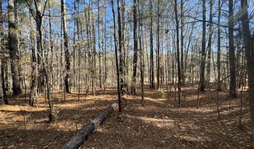 Photo #48 of Off Julie McKnight Road, Kittrell, NC 166.0 acres
