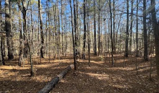 Photo #48 of SOLD property in Off Julie McKnight Road, Kittrell, NC 166.0 acres
