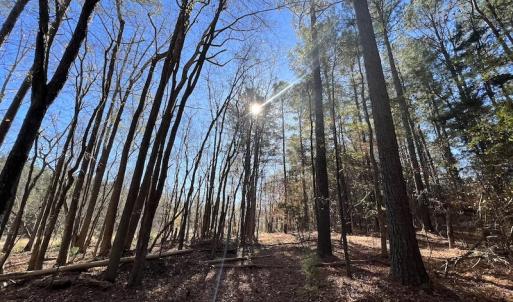 Photo #49 of SOLD property in Off Julie McKnight Road, Kittrell, NC 166.0 acres