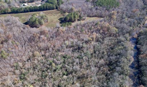 Photo #8 of Off Julie McKnight Road, Kittrell, NC 166.0 acres