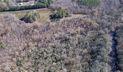 Photo #8 of SOLD property in Off Julie McKnight Road, Kittrell, NC 166.0 acres