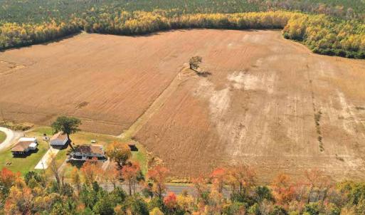 Photo #3 of SOLD property in 3077 Carolina Road, Suffolk, VA 22.0 acres