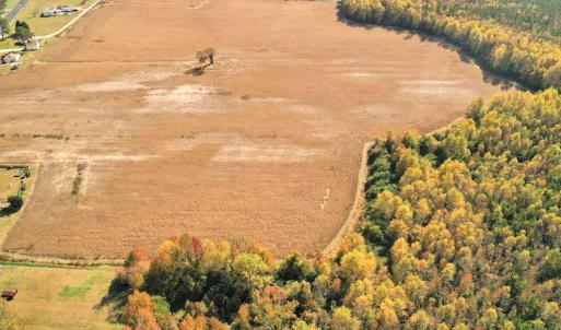 Photo #5 of SOLD property in 3077 Carolina Road, Suffolk, VA 22.0 acres