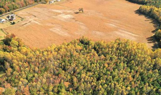 Photo #6 of SOLD property in 3077 Carolina Road, Suffolk, VA 22.0 acres